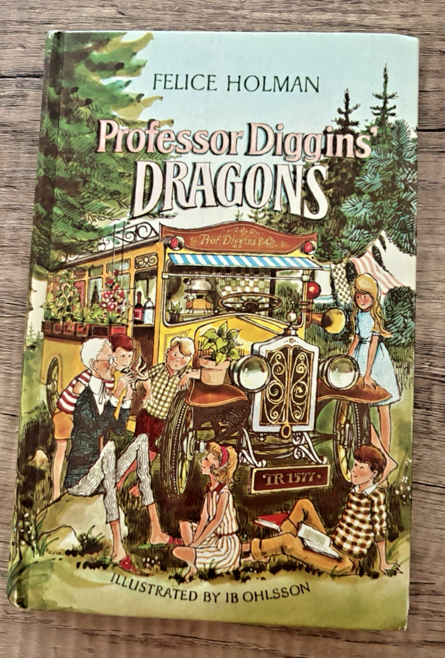 Professor Diggins' Dragons Felice Holman Vintage Weekly Reader 1966, HC MCM Book